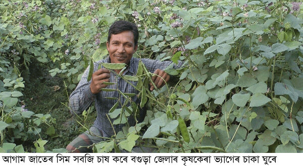 Pic Bogura Agricultural Sim Chash 04-12-2021
