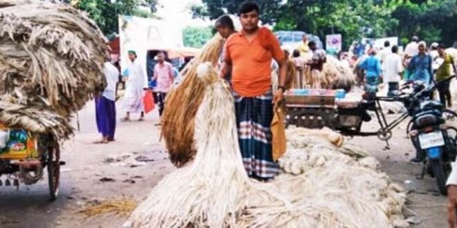 পাটের উৎপাদন বাড়াতে ৮ কোটি ১০ লাখ টাকার প্রণোদনা