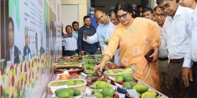 এবার আম রপ্তানির লক্ষ্য ৪ হাজার মেট্রিক টন