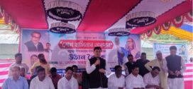 ৪ কারণে বিএনপির রাজনীতি বিপর্যয়ের মুখে পড়েছে: ড. সেলিম মাহমুদ
