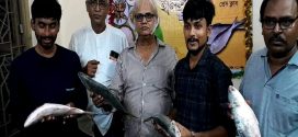 কলকাতায় ইন্দো-বাংলা প্রেসক্লাবে  ইলিশ উৎসব অনুষ্ঠিত