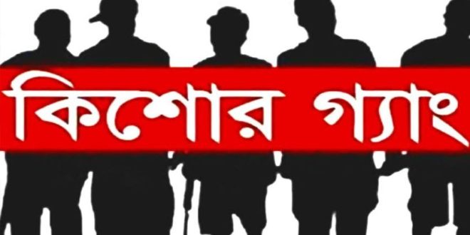 গাজীপুরে কিশোর গ্যাং আতঙ্কে বাজার ব্যবসায়ীসহ এলাকাবাসী