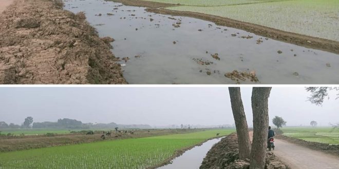 ঝিনাইদহে উইকেয়ার প্রকল্পের রাস্তায় কৃষকের আবাদি জমির মাটি কাটায় ক্ষতিগ্রস্ত শতশত কৃষক