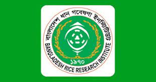 ব্রিতে জুলাই বিপ্লব উপলক্ষে তারুণ্যের মাঝে রোপা আমন ধানের চারা বিতরণ