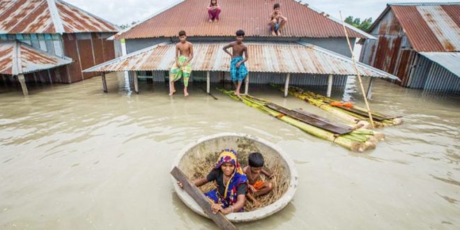 বন্যায় ১১ জেলায় মৃত্যু বেড়ে ৫৪ বন্যায় ১১ জেলায় মৃত্যু বেড়ে ৫৪