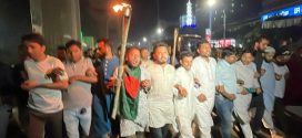 হাতিয়ায় হান্নান মাসউদের পথসভায় হামলা, ঢাকায় বিক্ষোভ