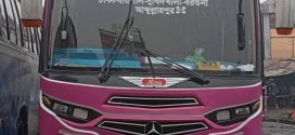 বরগুনায় সড়কে গাছ ফেলে বাসে ডাকাতি, আতঙ্কে যাত্রীরা
