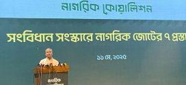 নতুন সংবিধান প্রণয়নে অনেক সময় লাগবে : আসিফ নজরুল