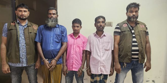আন্তঃজেলার ডাকাত দলের ৭ সদস্য গ্রেফতার, ১টি গরু উদ্ধার