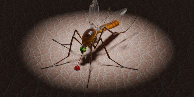 ডেঙ্গু ভাইরাসে আক্রান্ত হয়ে যুবকের মৃত্যু