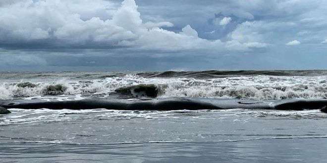 সাগরে ফের লঘুচাপের আভাস, বাড়বে বৃষ্টি