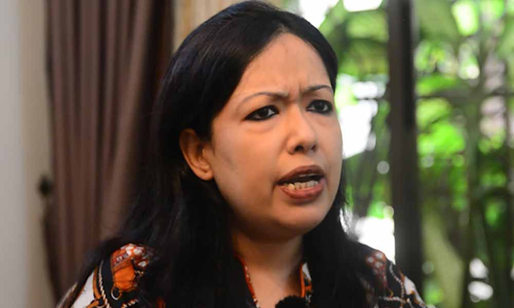 ছাত্রদলের জাকসু নির্বাচন বর্জন নিয়ে যা বললেন রুমিন ফারহানা