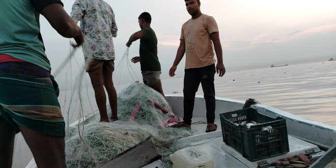 লক্ষ্মীপুরে ইলিশ শিকার অভিযানে ১ লক্ষ মিটার জাল জব্দ