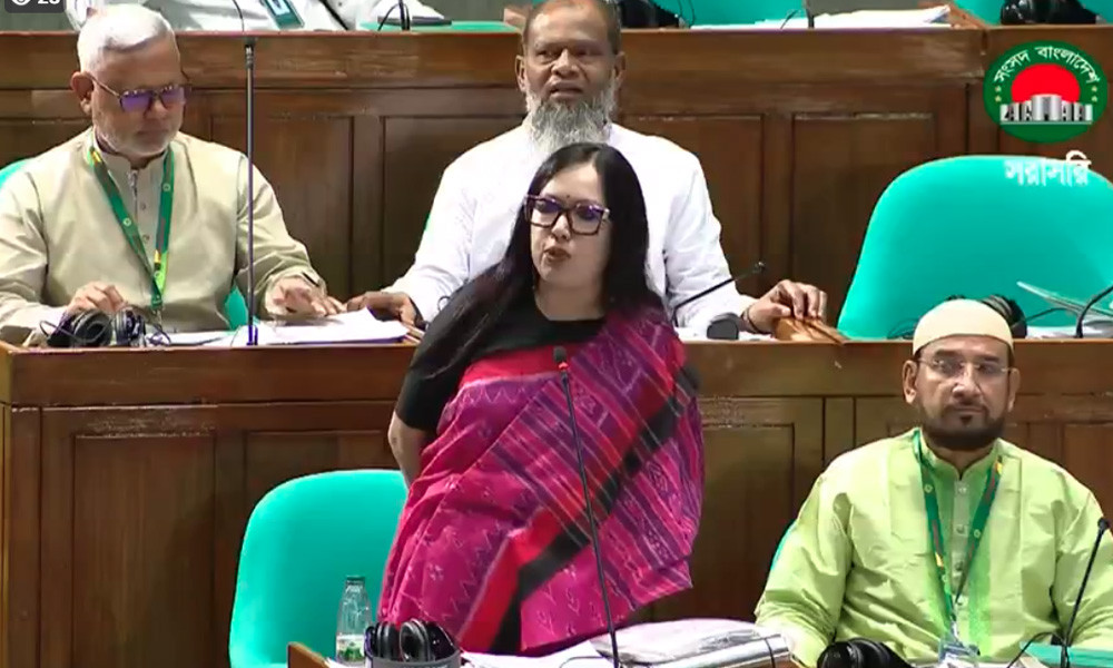 আমাকে মনোনয়ন না দেওয়ায় বিএনপিকে ধন্যবাদ : রুমিন ফারহানা