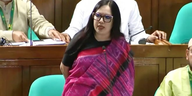 মবের শহরে পরিণত হয়েছে দেশ : রুমিন ফারহানা