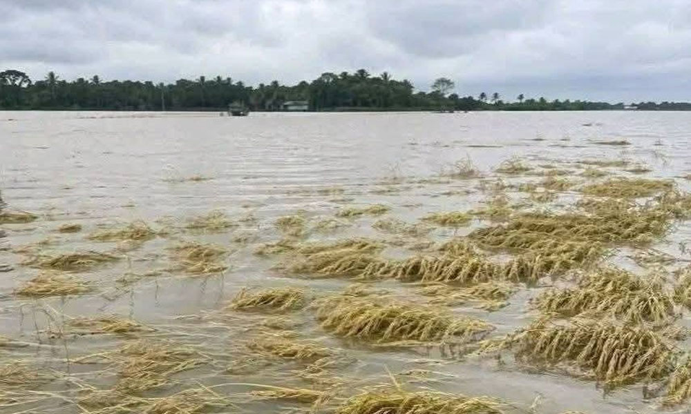 জুড়ীতে বিপৎসীমার ওপরে, অন্য নদ-নদীর পানি কমছে