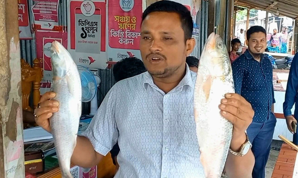 দুই ইলিশের দাম ১০ হাজার