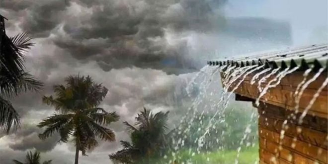 সকাল ৯টার মধ্যে ঢাকাসহ ১০ জেলায় ঝড়বৃষ্টির পূর্বাভাস