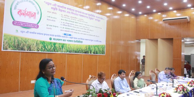 ব্রির এলএসটিডি প্রকল্পের বাস্তবায়ন অগ্রগতি ও ভবিষ্যৎ কর্মপরিকল্পনা কর্মশালা অনুষ্ঠিত