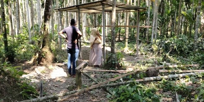 লক্ষ্মীপুরে গাছ কেটে জমি দখলের পাঁয়তারা, ১৪৪ ধারা জারি