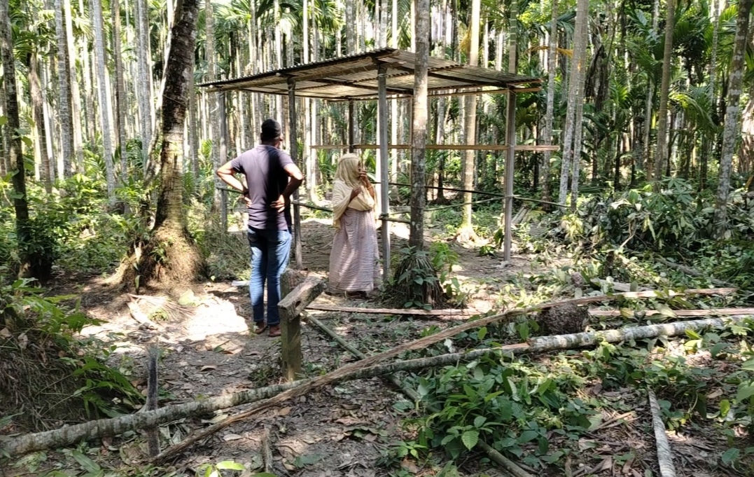 লক্ষ্মীপুরে গাছ কেটে জমি দখলের পাঁয়তারা, ১৪৪ ধারা জারি