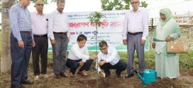 বারিতে বৃক্ষরোপণ কর্মসূচি-২০২৬ উদ্বোধন করা হয়েছে