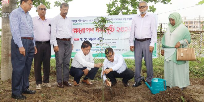 বারিতে বৃক্ষরোপণ কর্মসূচি-২০২৬ উদ্বোধন করা হয়েছে