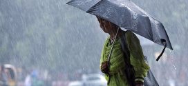 দেশের ১৭ জেলায় ঝড়সহ বজ্রবৃষ্টির আভাস, নদীবন্দরে সতর্কতা