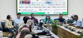 বিশ্ব জনসংখ্যা দিবস উপলক্ষে বরগুনায় আলোচনা সভা