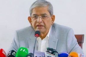 পরিবর্তনের কথা বললেই এদেশে প্রাণ দিতে হয়েছে: মির্জা ফখরুল