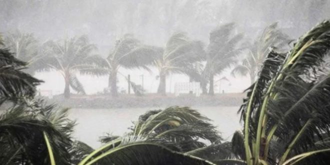 ৭ জেলায় দুপুরের মধ্যে বজ্রসহ বৃষ্টির আশঙ্কা ৭ জেলায় দুপুরের মধ্যে বজ্রসহ বৃষ্টির আশঙ্কা