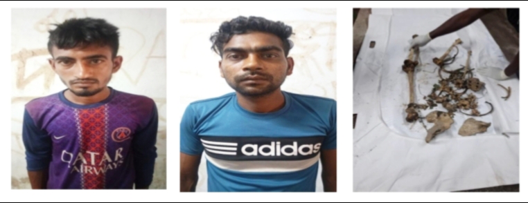 গাজীপুরে ৮ হাজার টাকায় হত্যা, কচুরিপানার নিচ থেকে কঙ্কাল উদ্ধার, ২ ঘাতক আটক